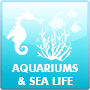 aquariums_sea_life.png