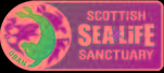 The Scottish Sealife Sanctuary