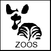 zebrazoo.jpg
