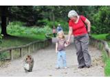 Trentham Monkey Forest