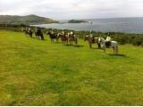 Ballahimmin Riding and Pony Trekking Cen