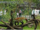 Birmingham Nature Centre