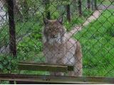 Birmingham Nature Centre