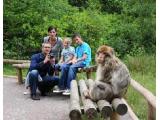 Trentham Monkey Forest