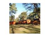 Avon Tyrrell Activity & Residential Centre