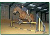 Petley Wood Equestrian Centre