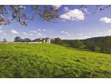 Old Beaupre Castle - Cowbridge