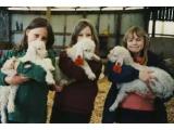 Mohair Centre, Chiddingly