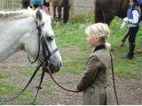 Wellgrove Farm Stables