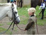 Wellgrove Farm Stables