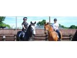 Oakhanger Riding and Pony Club Centre