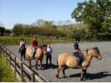 Shilstone Riding Centre