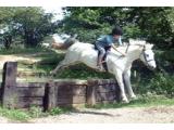 Dublin – Calliaghstown Riding Centre