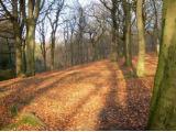 Tandle Hill Country Park