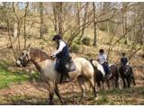 Long Mountain Pony Trekking Centre