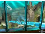 Chessington SEA LIFE centre