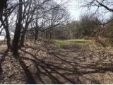 Lickey Hills Country Park