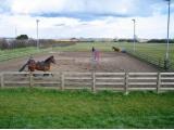 Sedgeway Equestrian Centre