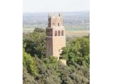 Faringdon Folly Tower and Woodland