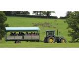 Bucklebury Farm Park, Reading