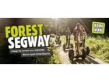 Go Ape Forest Segway