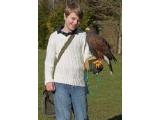 The Hawk Conservancy, Andover