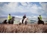 Springhill Farm Riding Stables