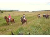 Pewsey Vale Riding Centre