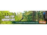 Go Ape Tree Top Adventure