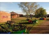 Willow Tree Family Farm