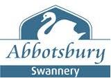 Abbotsbury Swannery - Weymouth