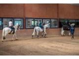 Smugglers Equestrian Centre