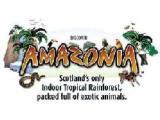 Amazonia - Motherwell