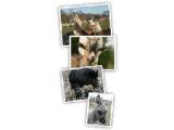 Bucklebury Farm Park, Reading