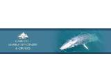 Gairloch Marine Life Centre & Cruises