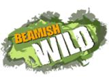 BeamishWild High Ropes - Durham