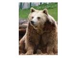 Camperdown country park & Wildlife Centre, Dundee