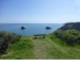 Berry Head National Nature Reserve