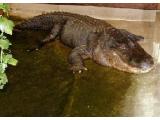 Beaver Water World, Tatsfield