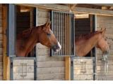 Grenaby Estates Equestrian Centre