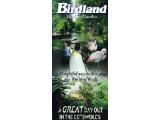 Birdland