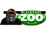 Blackpool Zoo