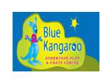 Blue Kangaroo Play and Party Centre - Hull