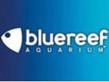 Portsmouth Blue Reef Aquarium