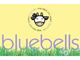 Bluebell Dairy - Derby