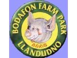 Bodafon Farm Park - Llandudno