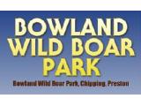 Bowland Wild Boar Park - Preston