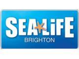 Brighton Sea Life Centre