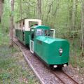 Brokerswood Country Park, Westbury