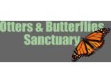 Buckfast Butterflies & Dartmoor Otter Sanctuary - Buckfastleigh